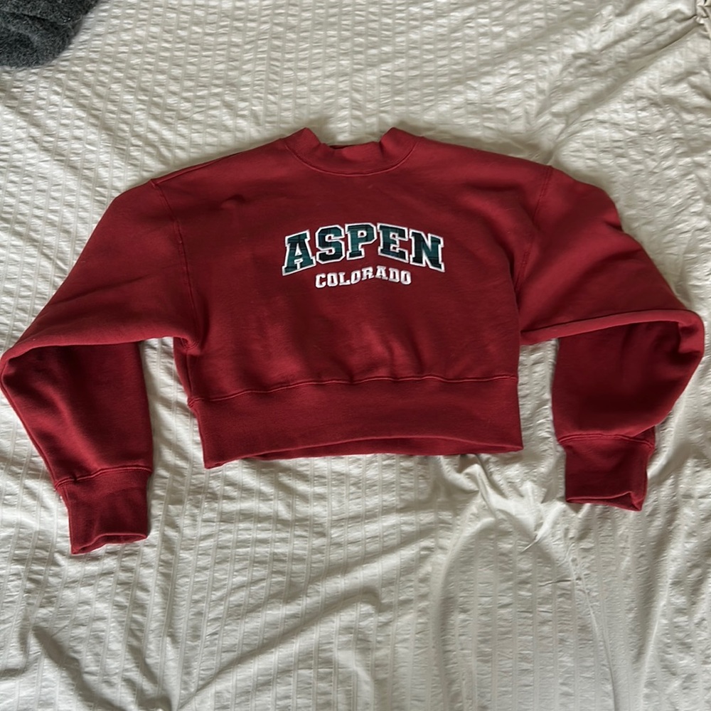 Mock Neck Aspen Colorado Cropped Sweater